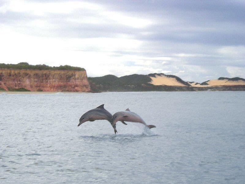 Pousada Da Pipa Praia de Pipa Exterior foto